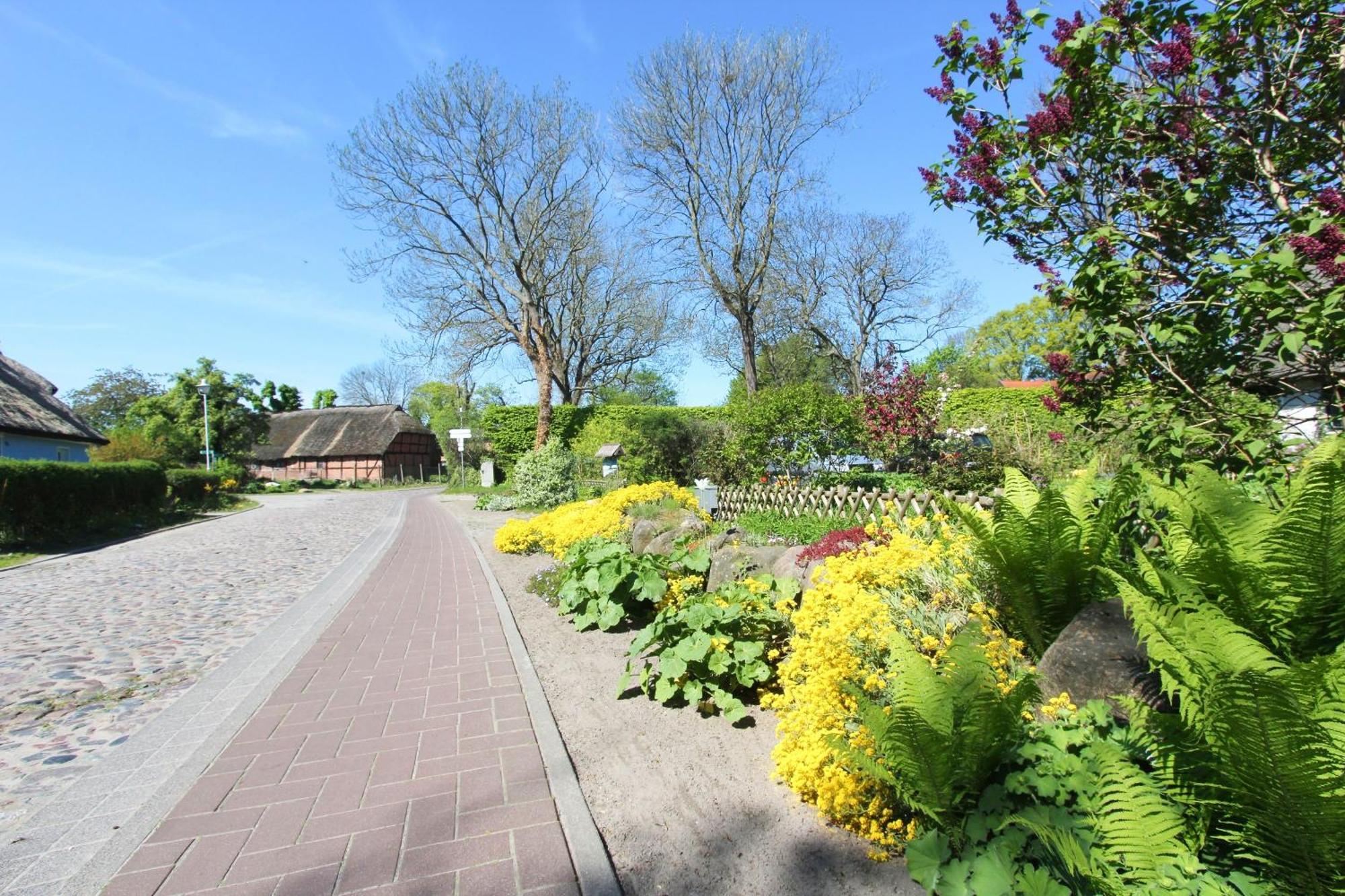 Appartementhaus Inselwind FeWo 02 MEERsand Groß Zicker Buitenkant foto